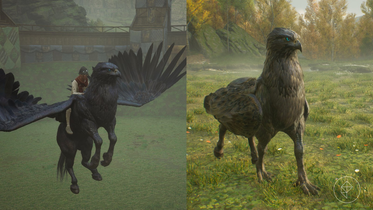hogwarts legacy: onyx hippogriff mount